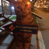 Ветеринарная клиника Фауна-элита  на проекте Abakan.vetspravka.ru